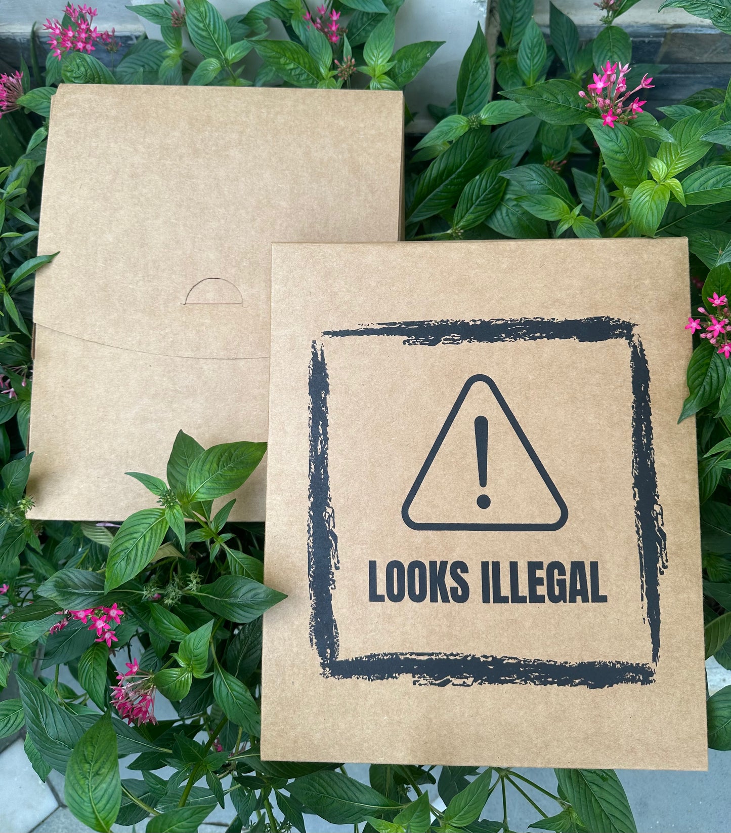 Kraft Self-lock Box