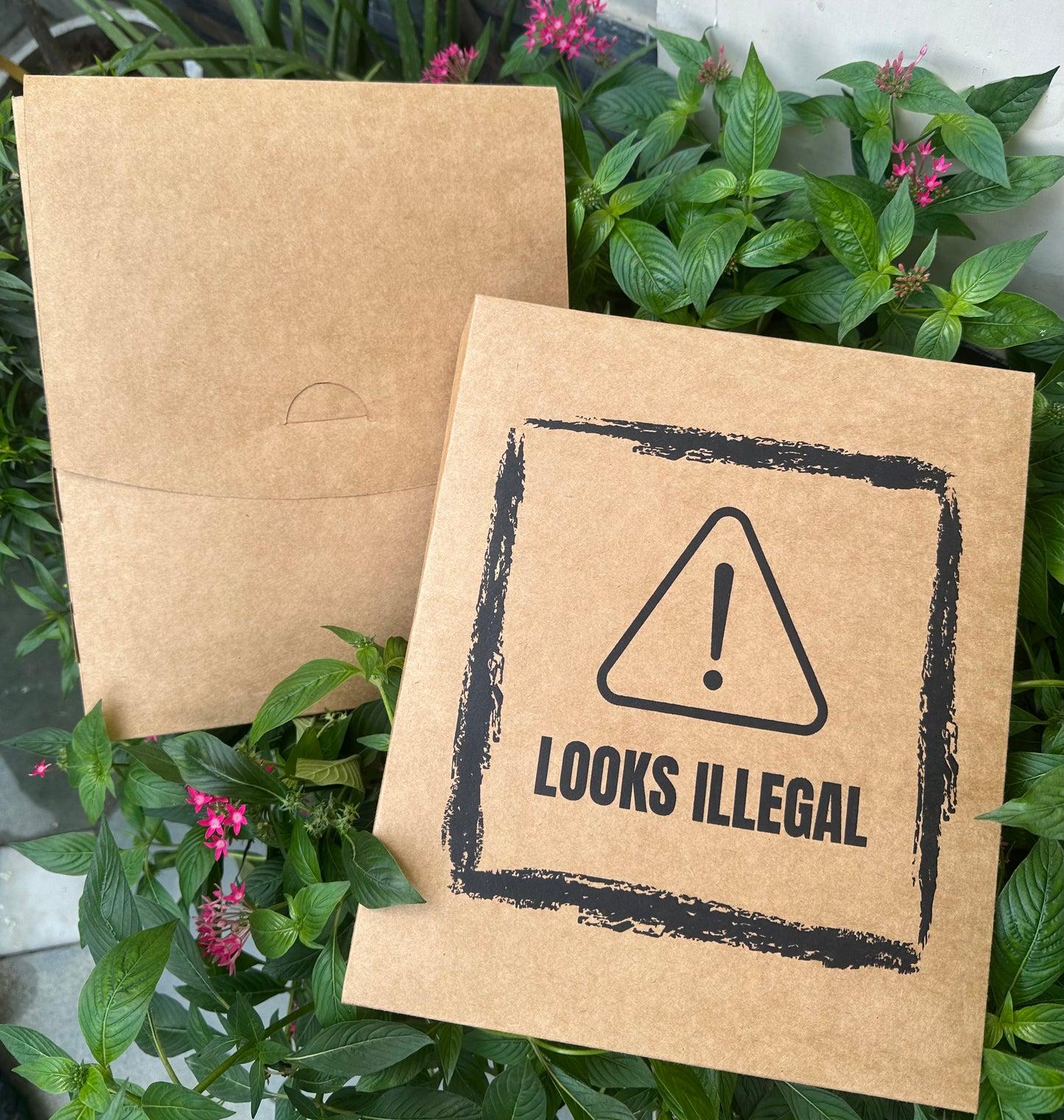 Sample Kit – Kraft Self Lock Box