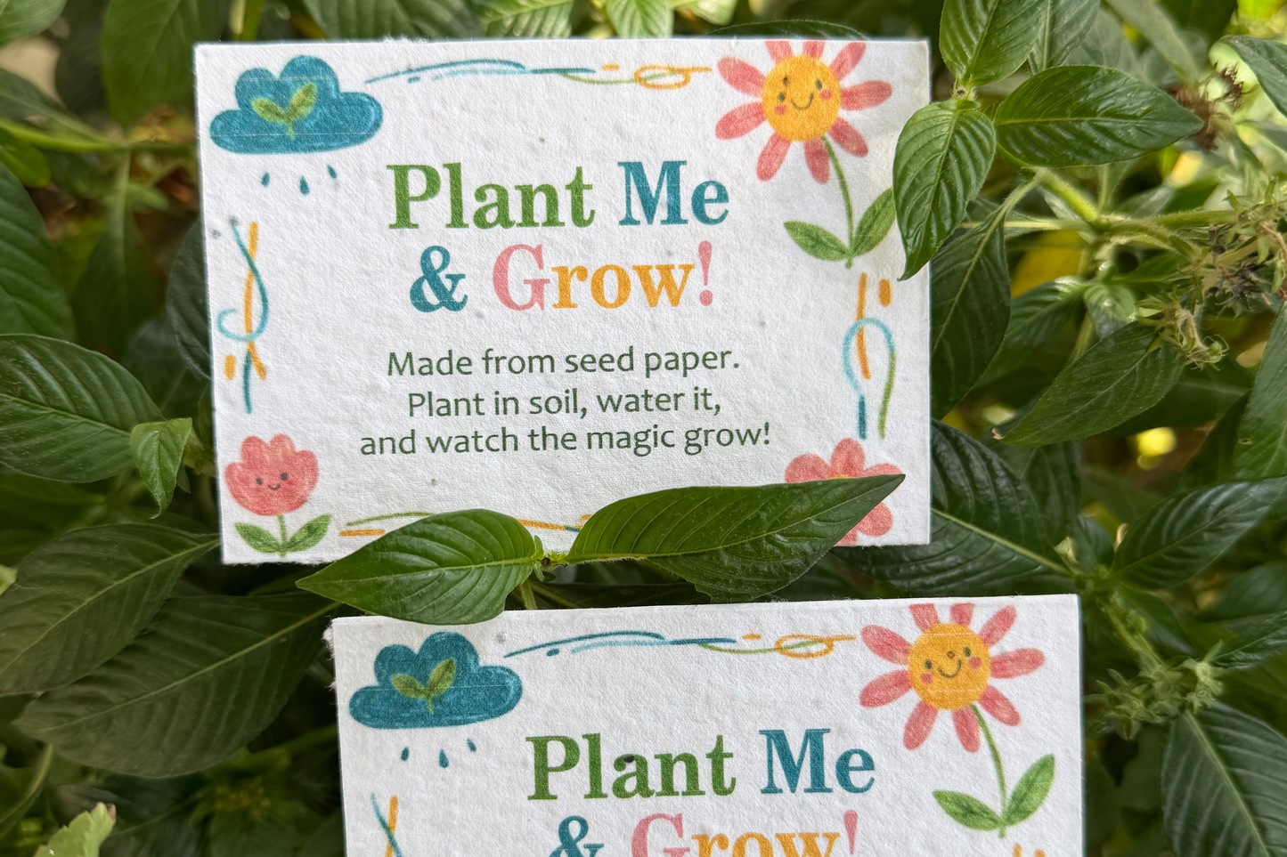 Plantable Seed Paper Custom Cards (Multi-colour printed)