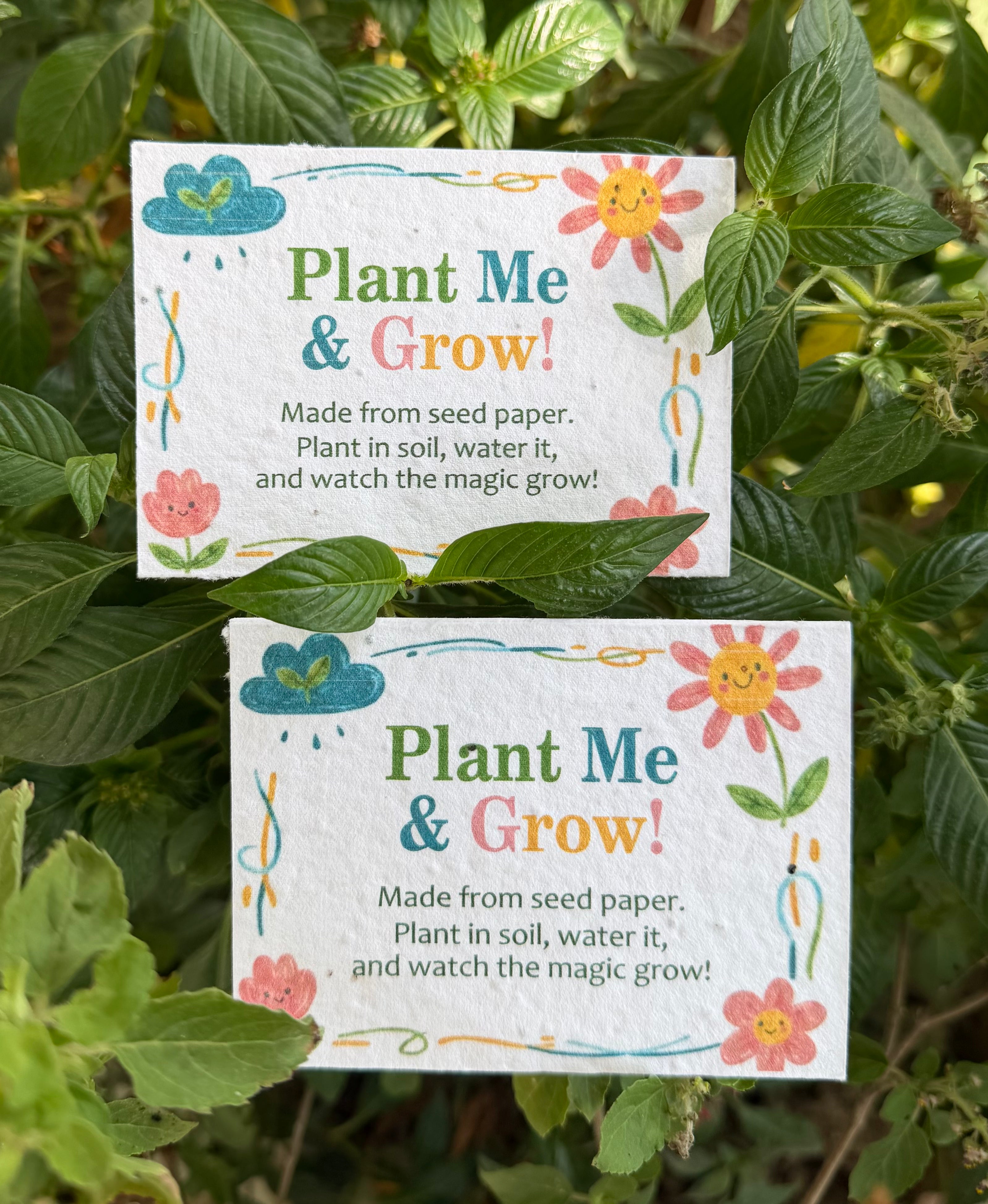 Plantable Cards